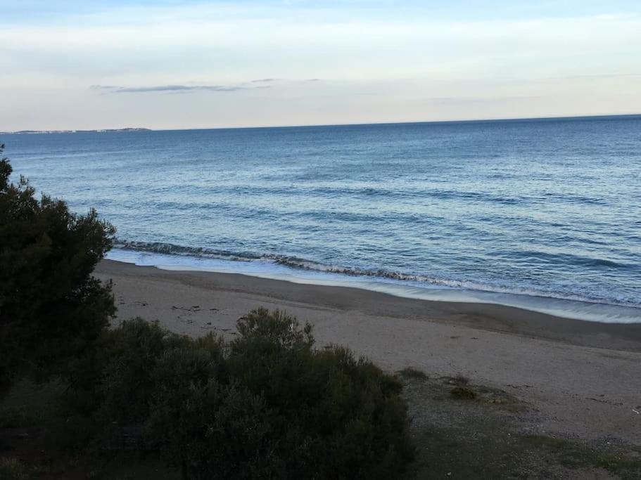 Beach-Lovers - Apartamento 1Era Linia Mar Miami Playa Kültér fotó